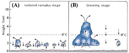 Figure 19 (Click here to enlarge)